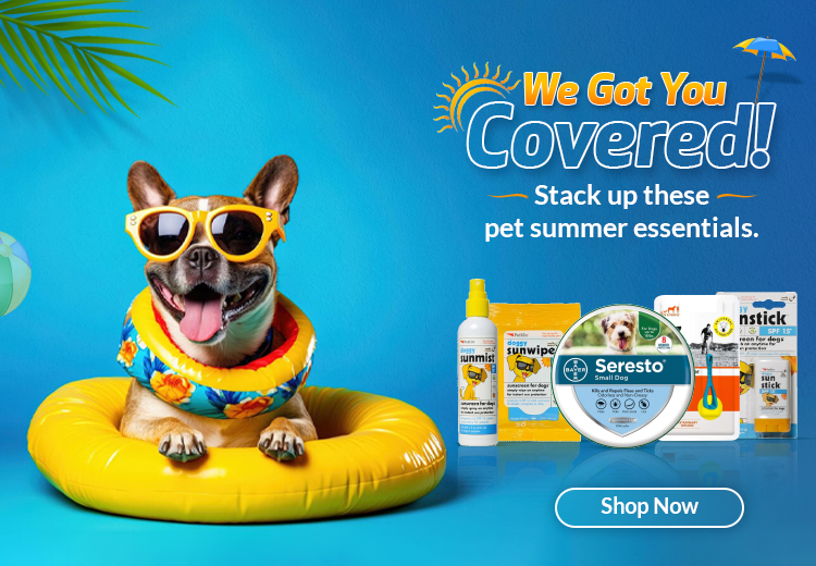  summer pet products